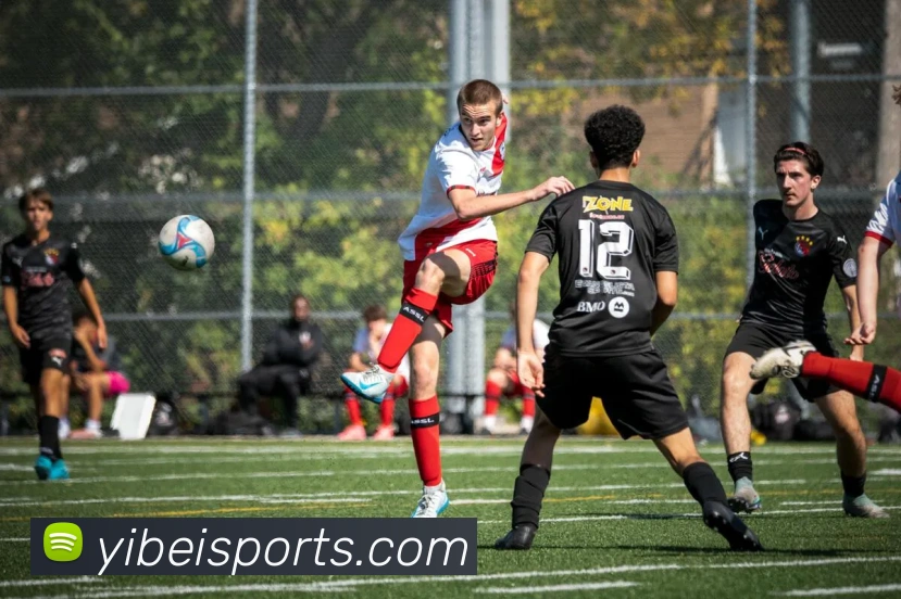 易倍体育APP 封面图